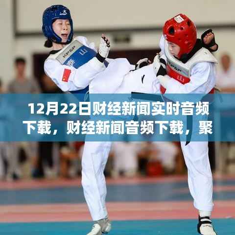 12月22日财经新闻实时音频下载，深度探讨与观点争议