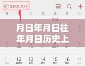 探秘历史与现实交织的物流轨迹,实时物流查询方法与特色小店揭秘