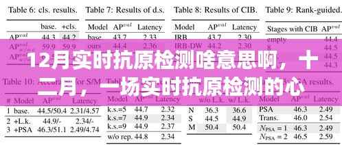 十二月实时抗原检测,心灵净化之旅的启程