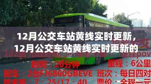 多维度探讨,12月公交车站黄线实时更新的价值与影响