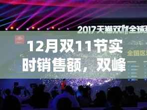 双峰汇聚销售盛宴,12月双11节实时销售额全面评测与解析