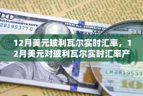 12月美元对玻利瓦尔实时汇率详解,产品与评测一网打尽