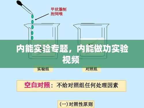 内能实验专题，内能做功实验视频 