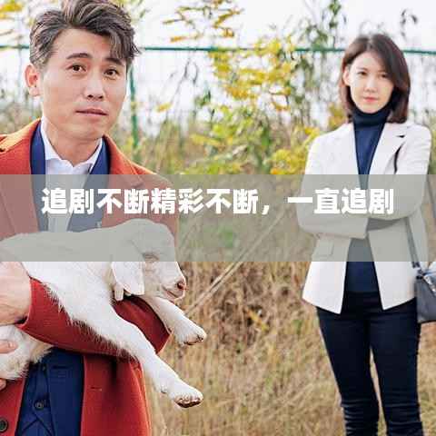 追剧不断精彩不断,一直追剧