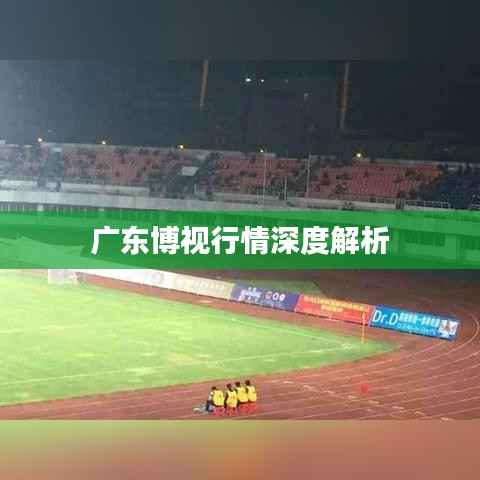 广东博视行情深度解析