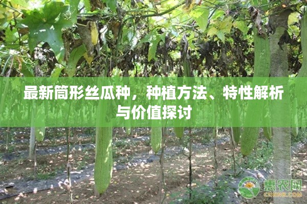 回眸最初 第3页