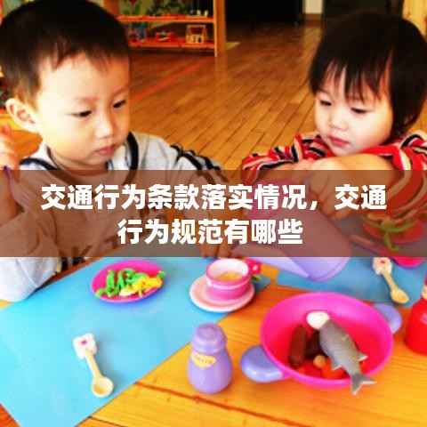 交通行为条款落实情况，交通行为规范有哪些 