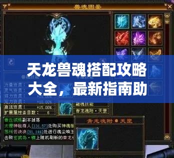 天龙兽魂搭配攻略大全,最新指南助你轻松掌握搭配技巧!