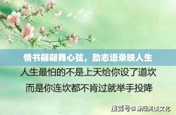 情书翩翩舞心弦,励志语录映人生