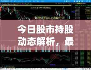 今日股市持股动态解析，最新策略与趋势分析
