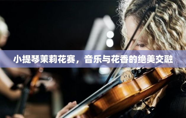 小提琴茉莉花赛,音乐与花香的绝美交融