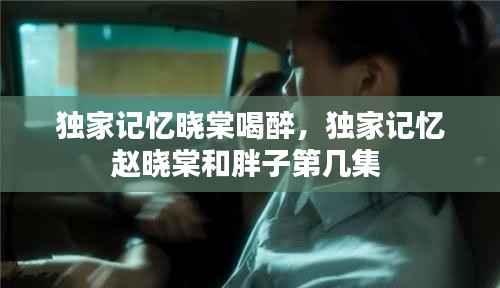 独家记忆晓棠喝醉,独家记忆赵晓棠和胖子第几集