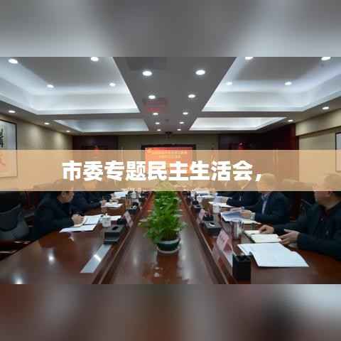 市委专题民主生活会,