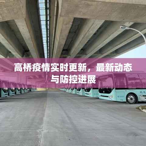 高桥疫情实时更新，最新动态与防控进展