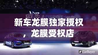 新车龙膜独家授权,龙膜受权店