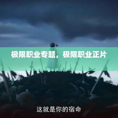 极限职业专题，极限职业正片 