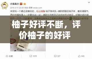 柚子好评不断,评价柚子的好评