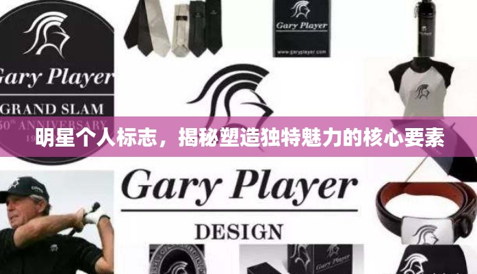 明星个人标志,揭秘塑造独特魅力的核心要素