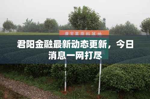 君阳金融最新动态更新,今日消息一网打尽