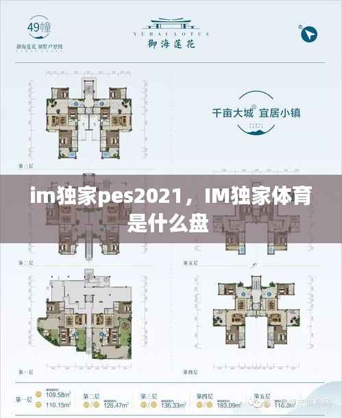 im独家pes2021,IM独家体育是什么盘