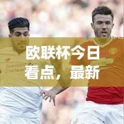 纲举目张 第3页