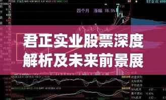 君正实业股票深度解析及未来前景展望