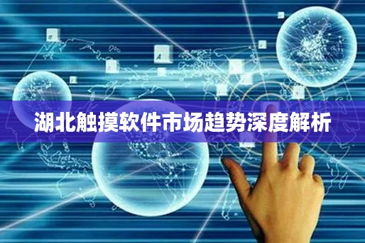 湖北触摸软件市场趋势深度解析