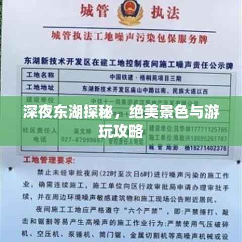深夜东湖探秘,绝美景色与游玩攻略