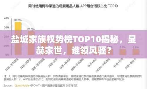 盐城家族权势榜TOP10揭秘,显赫家世,谁领风骚?