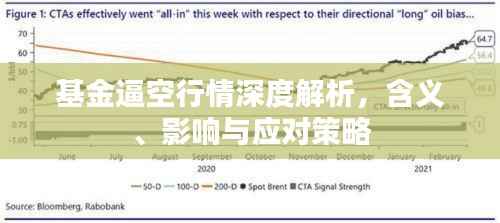 基金逼空行情深度解析,含义、影响与应对策略