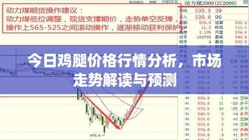 今日鸡腿价格行情分析,市场走势解读与预测