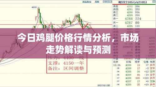 今日鸡腿价格行情分析,市场走势解读与预测