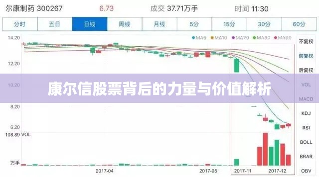 康尔信股票背后的力量与价值解析