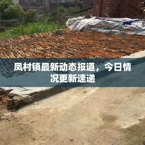 凤村镇最新动态报道,今日情况更新速递