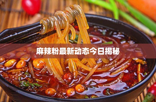 麻辣粉最新动态今日揭秘