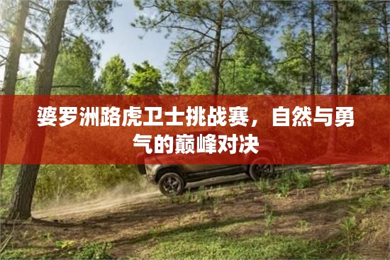 婆罗洲路虎卫士挑战赛,自然与勇气的巅峰对决