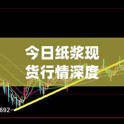 今日纸浆现货行情深度解析,市场走势一览