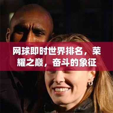 网球即时世界排名,荣耀之巅,奋斗的象征