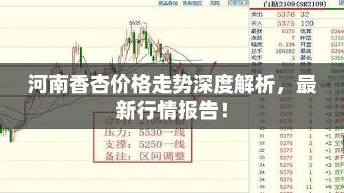 河南香杏价格走势深度解析,最新行情报告!