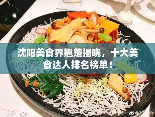 沈阳美食界翘楚揭晓,十大美食达人排名榜单!