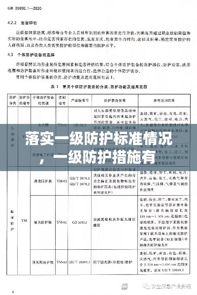 落实一级防护标准情况,一级防护措施有