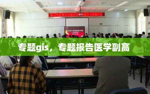 专题gis,专题报告医学副高