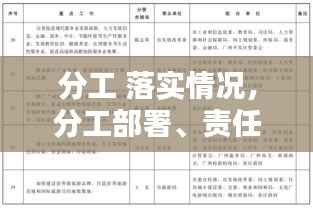 分工 落实情况,分工部署、责任落实