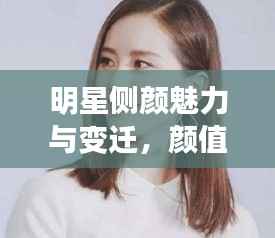 公司概况 第61页