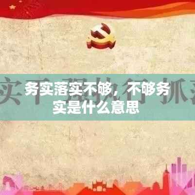 务实落实不够,不够务实是什么意思