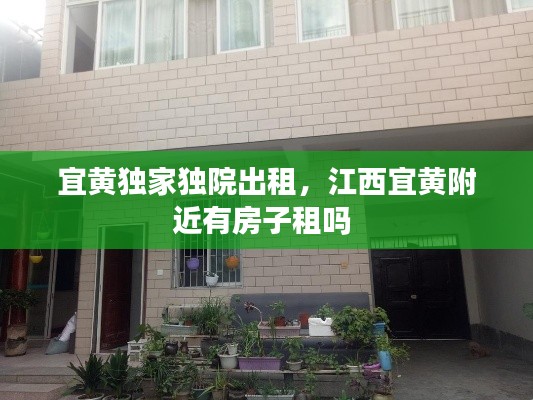 宜黄独家独院出租,江西宜黄附近有房子租吗