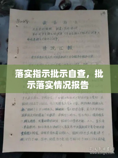 落实指示批示自查,批示落实情况报告