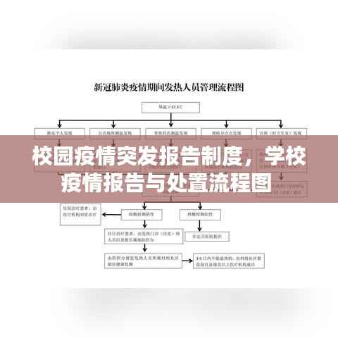 校园疫情突发报告制度,学校疫情报告与处置流程图