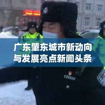 广东肇东城市新动向与发展亮点新闻头条速递