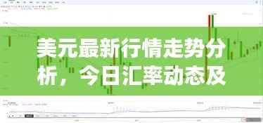 美元最新行情走势分析，今日汇率动态及市场解读